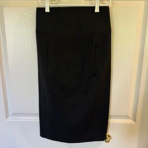 Express Pencil Skirt